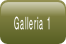 Galleria 1.